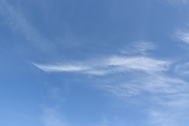 Am Elbstrand: Sonniger Tag