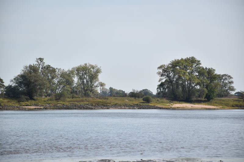 Am Elbstrand
