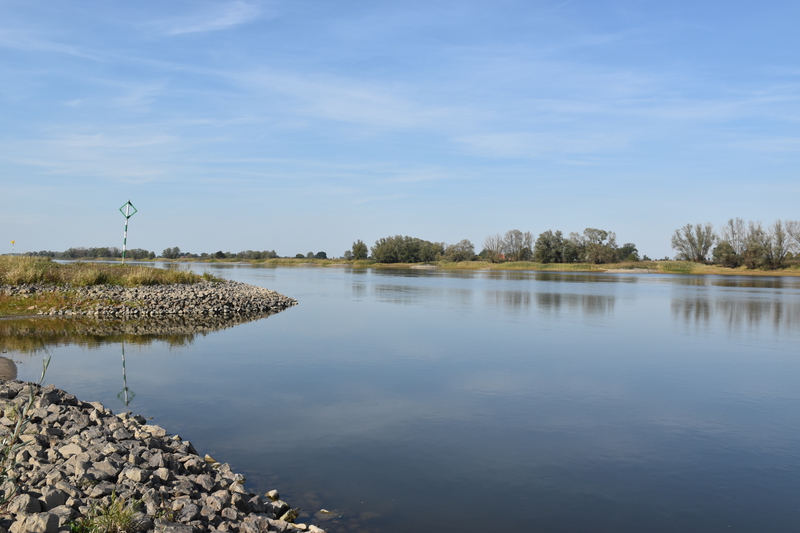 Am Ufer der Elbe