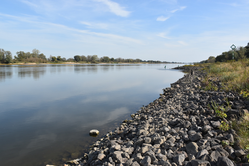 Am Ufer der Elbe