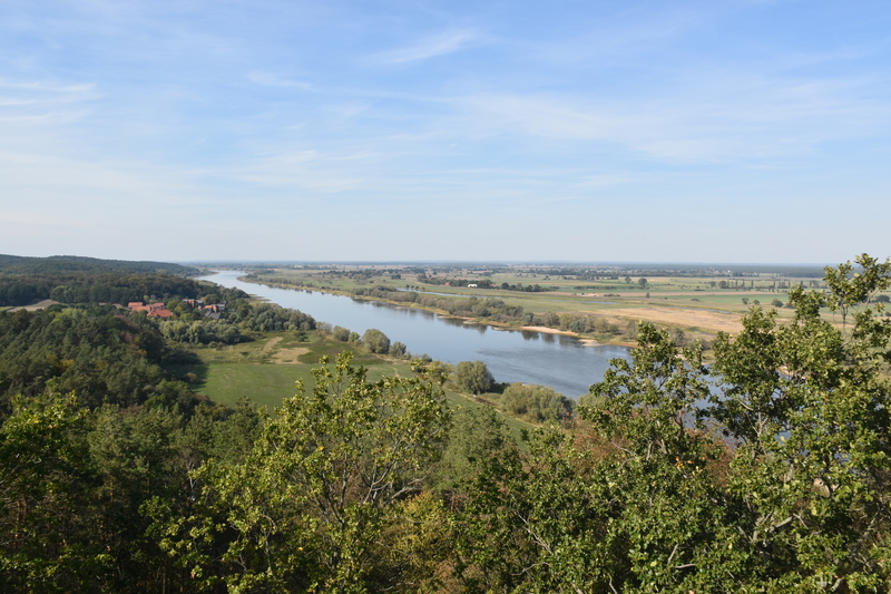 Blick von Aussichtsturm Kniepenberg auf die Elbe