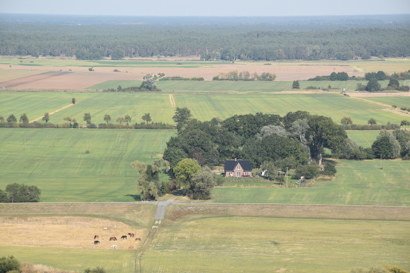 Blick von Aussichtsturm Kniepenberg